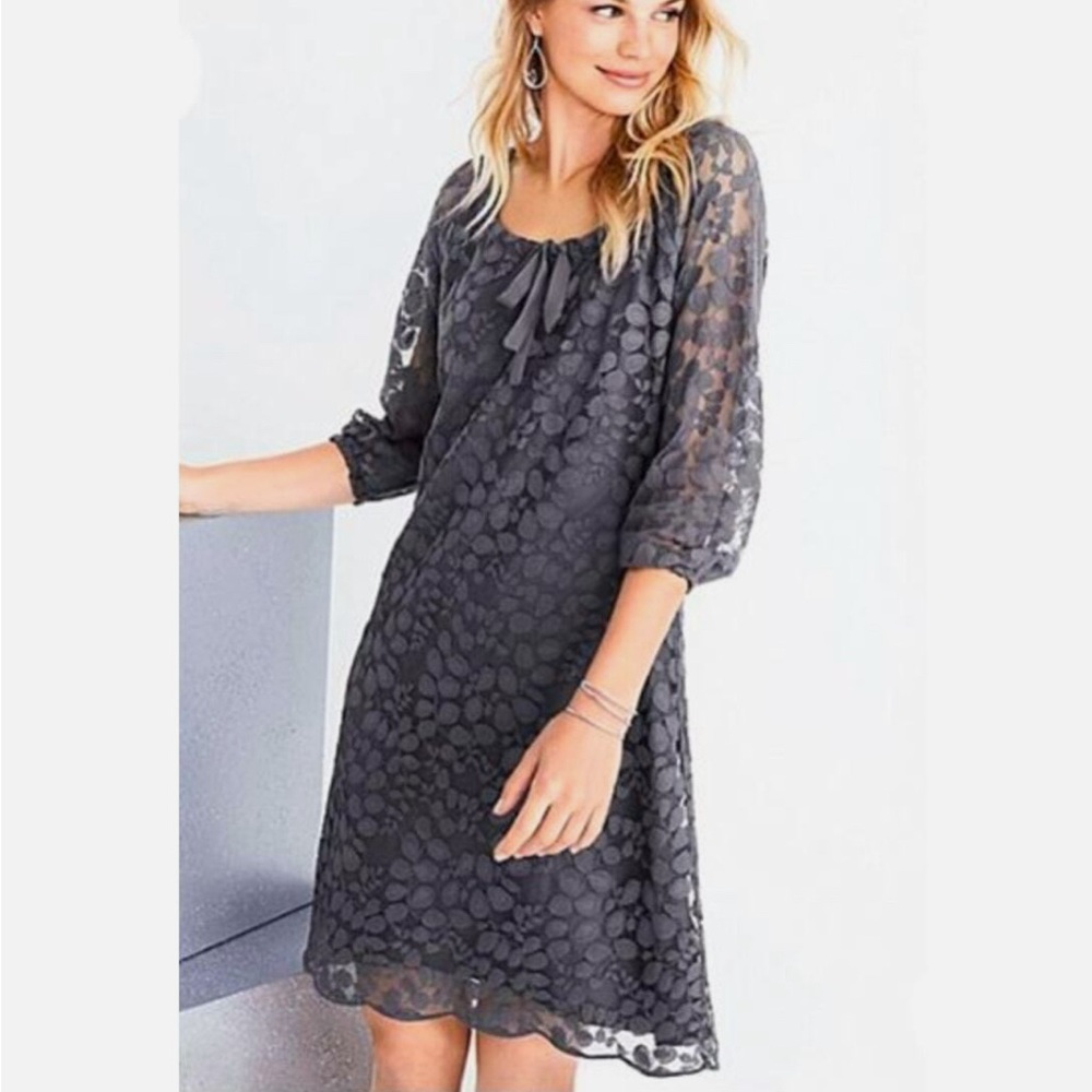 Garnet Hill Boheme Easy Lace Dress, size 2